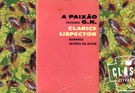 (Re)Vivendo o Brasil: A Paixão Segundo G.H. | Resenha | Classe Literária