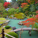 相阿弥の庭 青蓮院