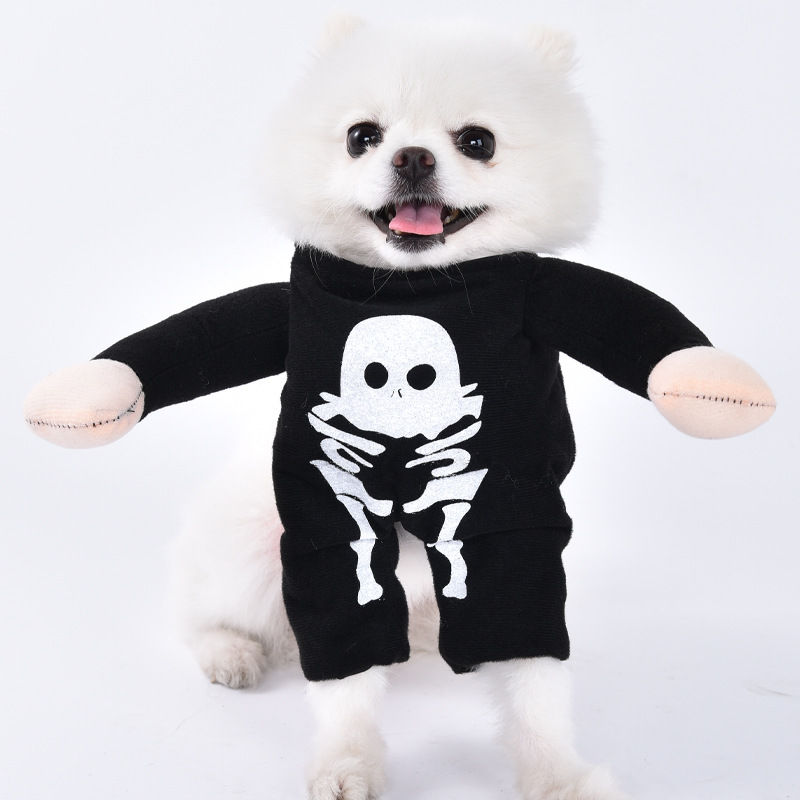 Thumbnail: Pet Halloween Costumes