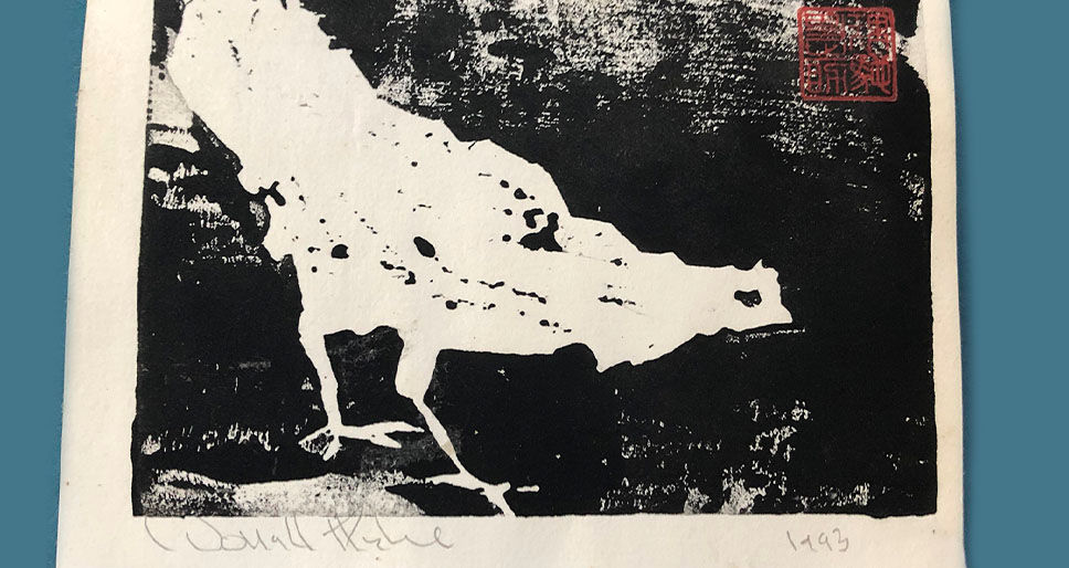 Abraham Ravett, Screening