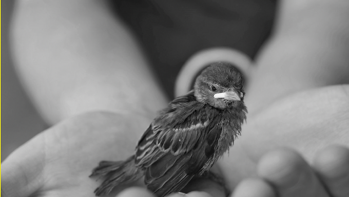 Oberhausen on Tour 2023