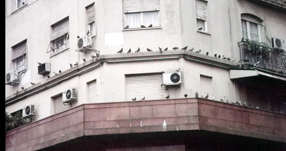 The Monologues of the Usher