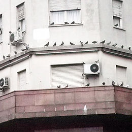 The Monologues of the Usher