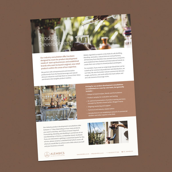 Alembics product development flyer