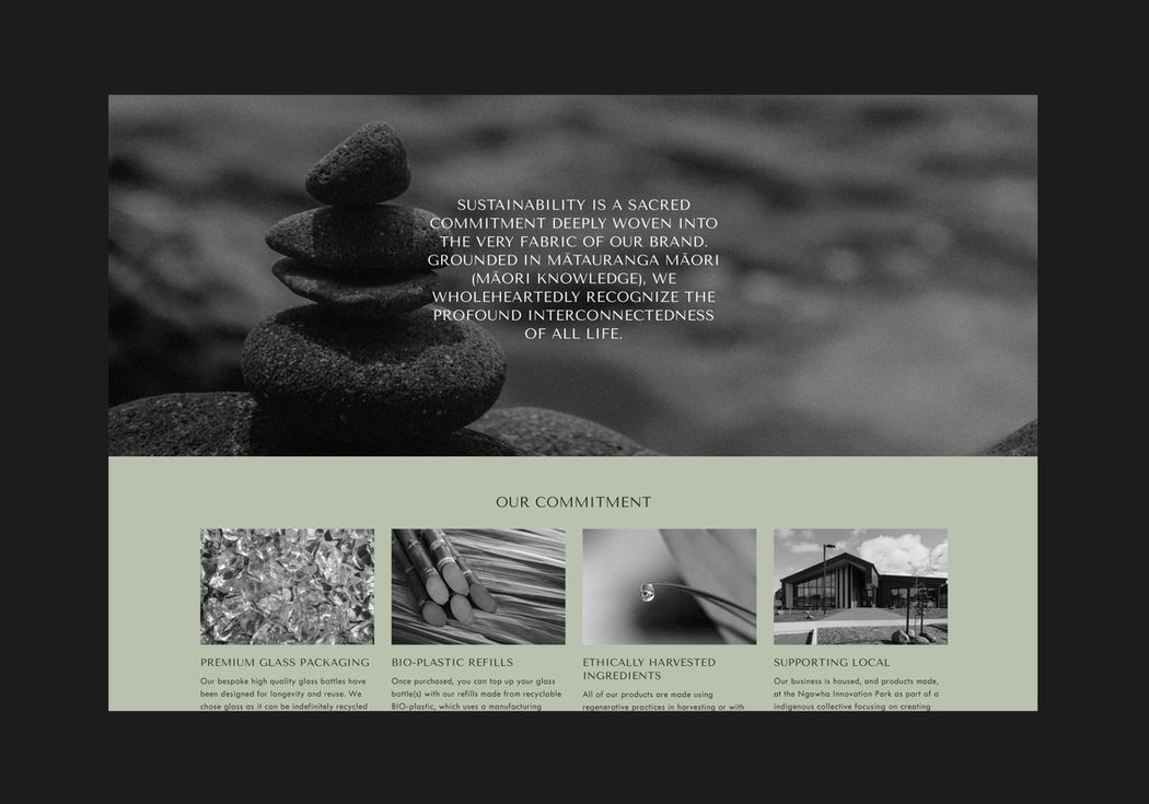Ae-website-landscape-3