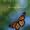 Thumbnail: Greeting Note Card - Fly Like a Butterfly