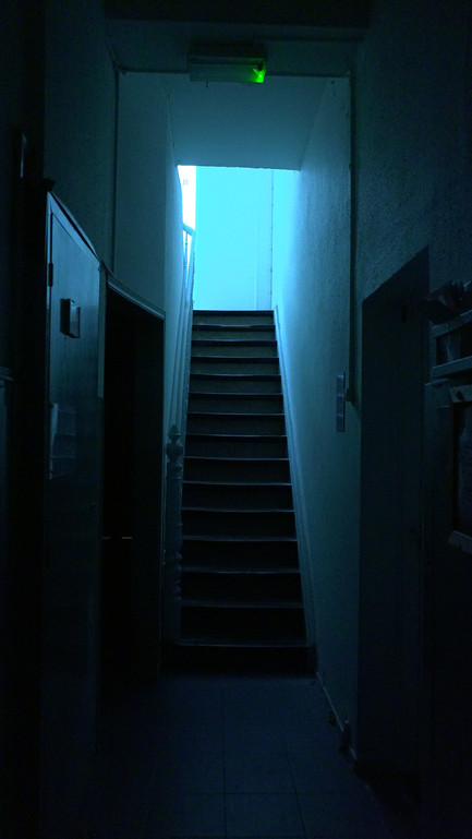 DSC07617