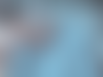 A Morte é um Lugar Incontestável de Humanidade