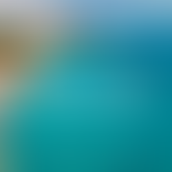 Timeshare in Aruba vs. Owning Condominium Property: Two Very Different Ways to Invest in the Caribbean