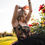 Thumbnail: The Enchantress Corset