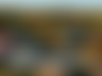 From Beale Street to Your Street: Roofing Trends Taking Over Memphis, TNFrom Beale Street to Your Street: Roofing Trends Taking Over Memphis, TN