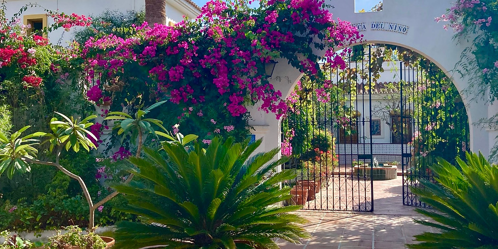 Painting Holiday In Andalusia