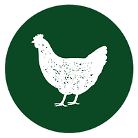 Poultry-Icon