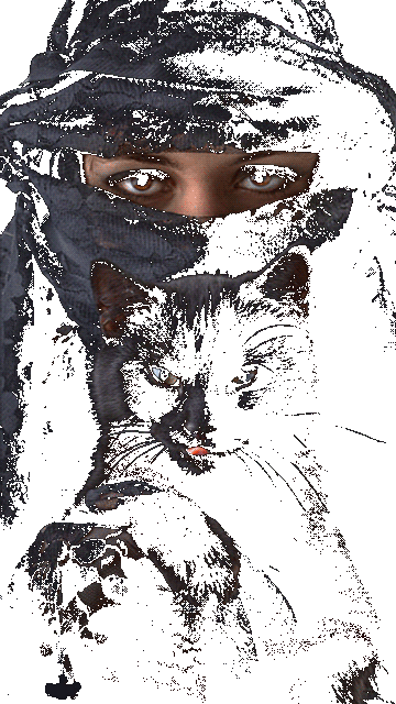 Cats Sem ECO Transparent.gif