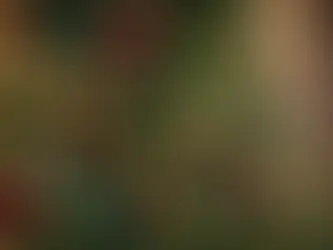 Unwrapping Holiday Pet Care: Expert Seasonal Safety Tips You Need to Know