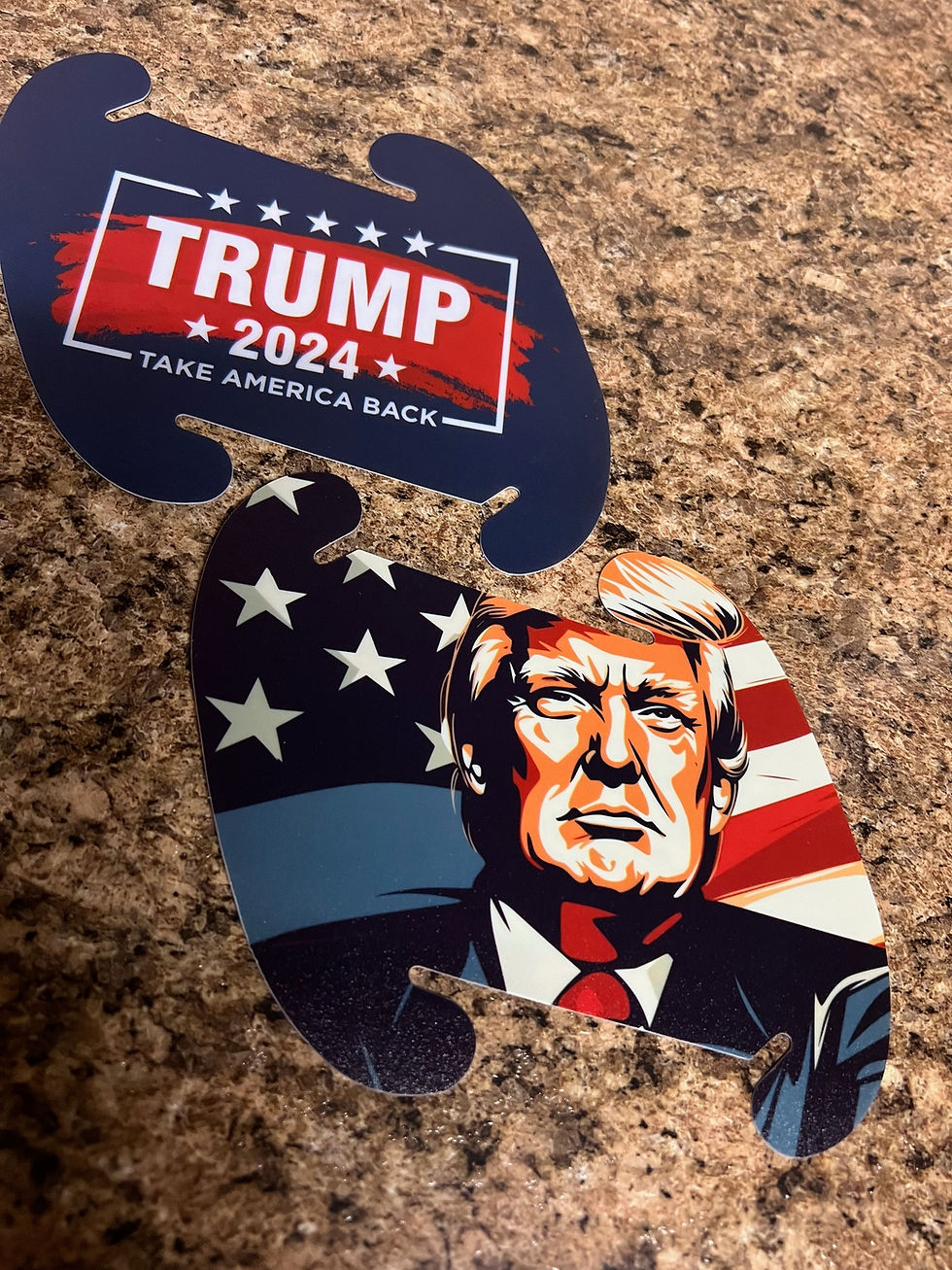 Thumbnail: TRUMP DIY KIT (Small Size)
