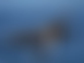 Une aventure maritime entre Audierne et l’île de Sein