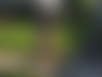 New Bikes and the Spiritual Life