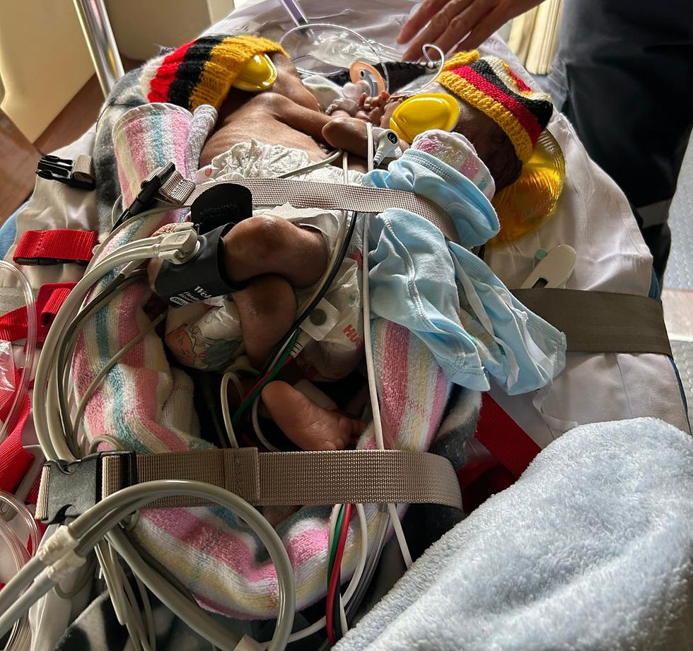 Tom and Sawong tucked in preparing to fly to Sydney this afternoon.