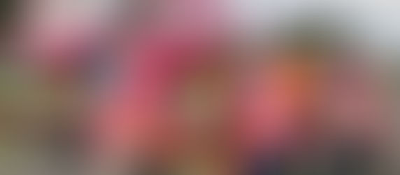 Triplets delivered safely thanks to emergency flight