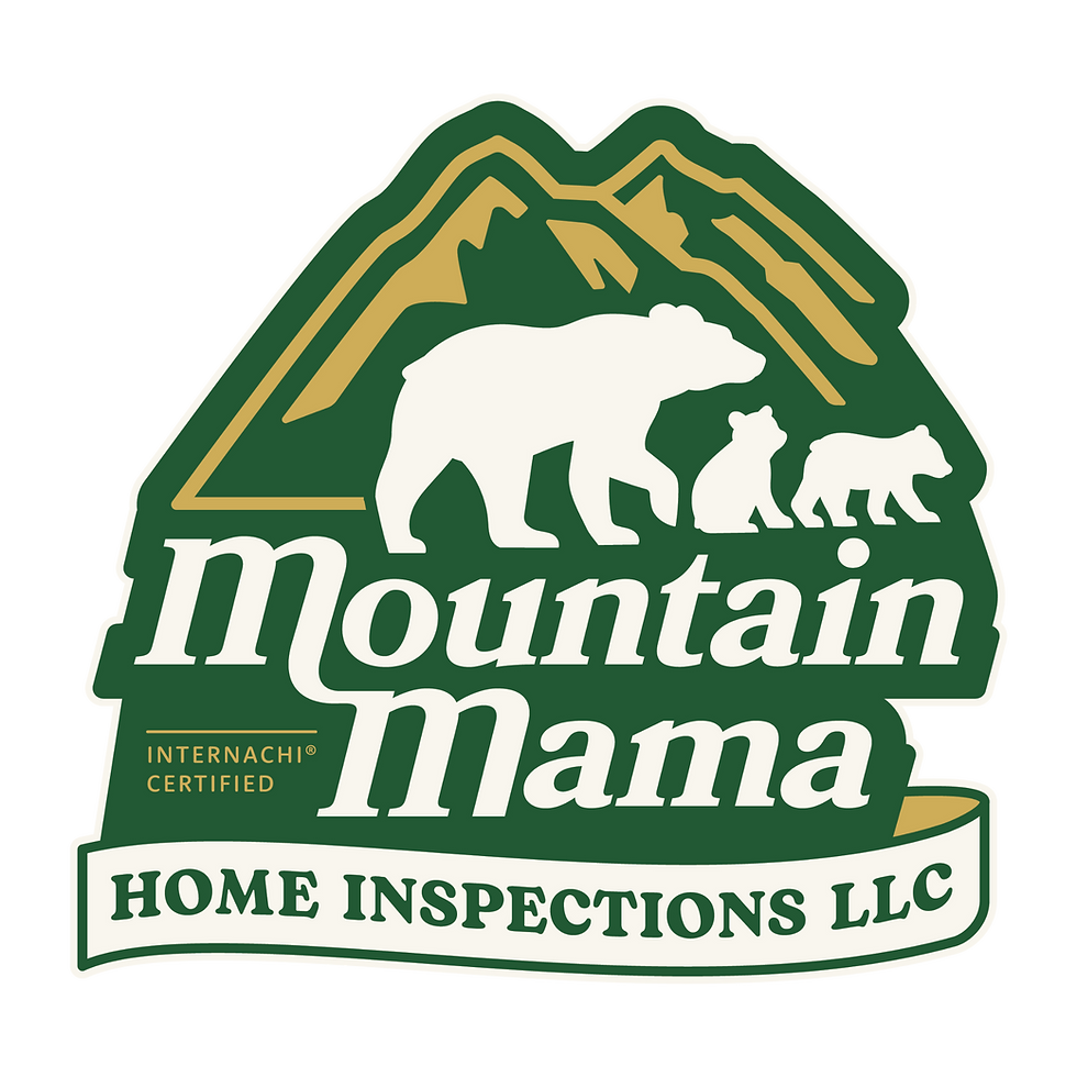 Mountain Mama Home Inspections log