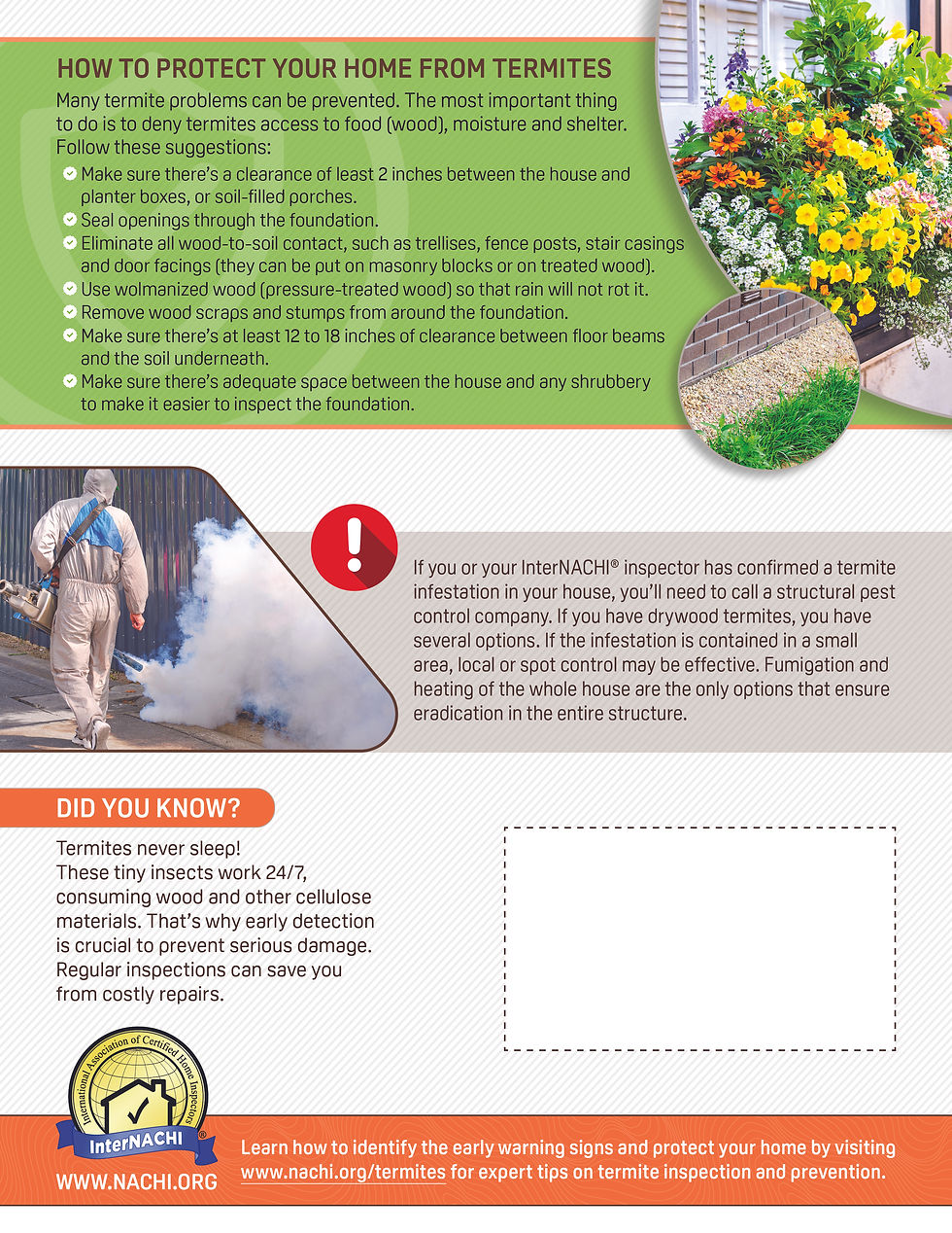 Termite Control Page 2