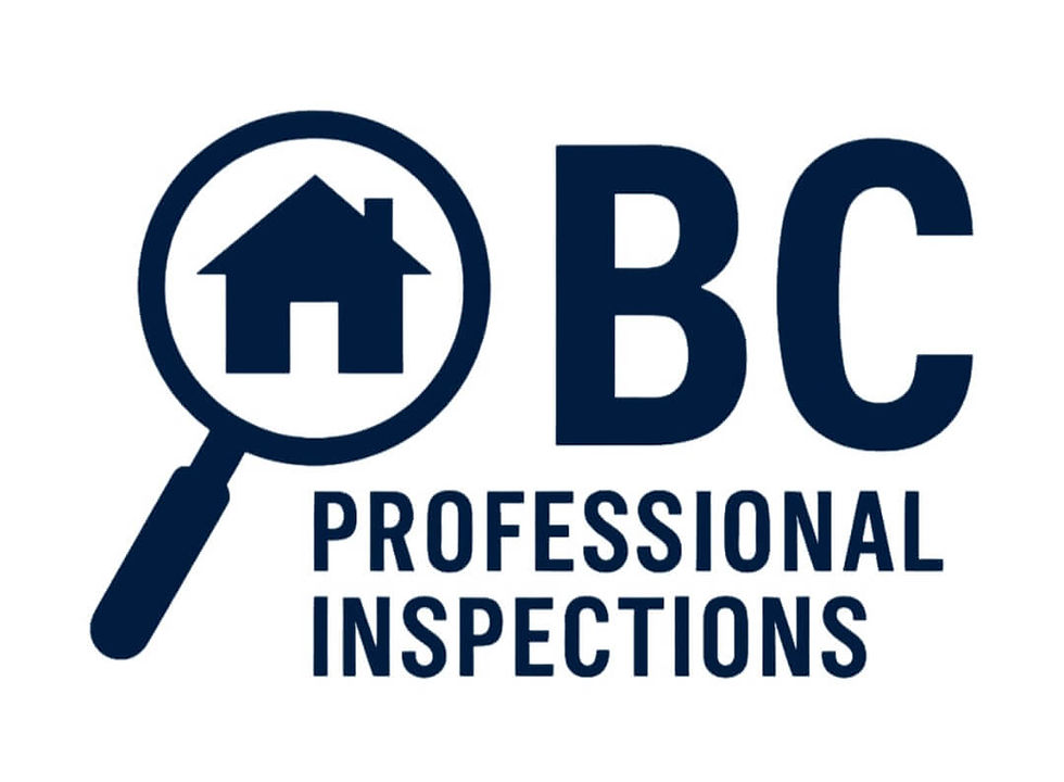 BC Professional Inspections