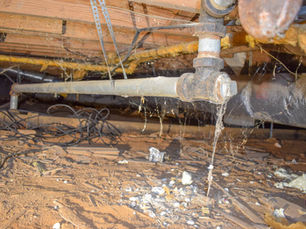 crawlspace