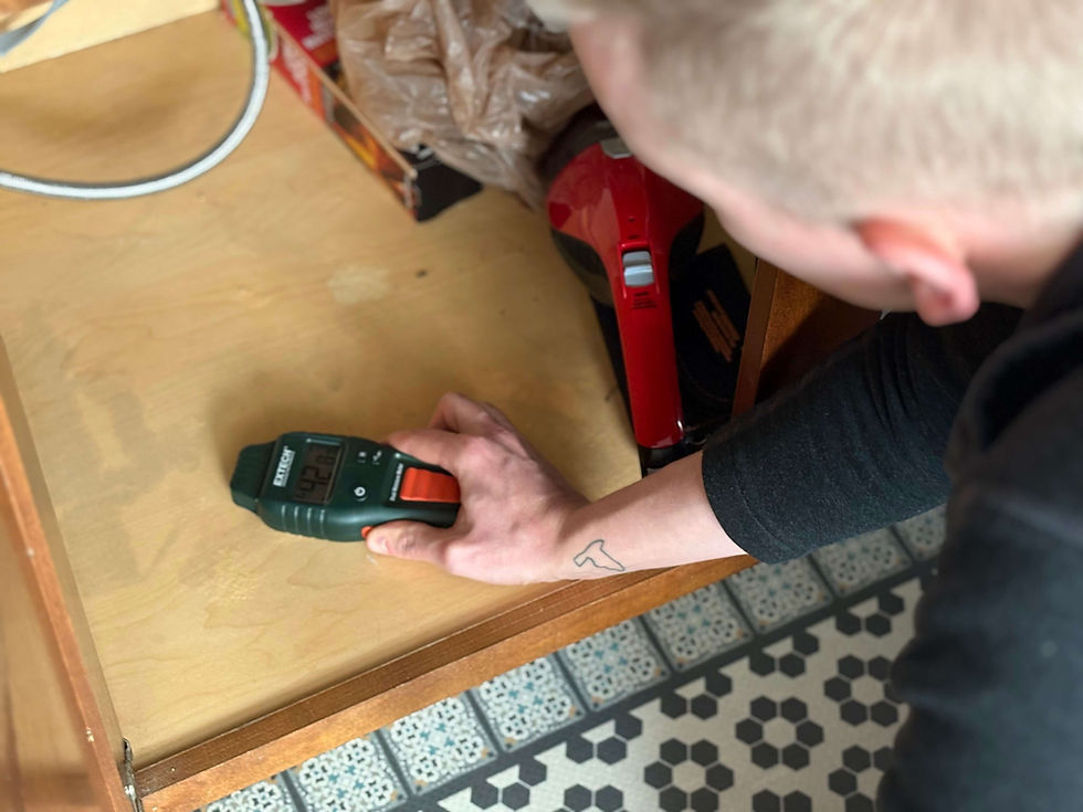 Jeremiah inspecting level