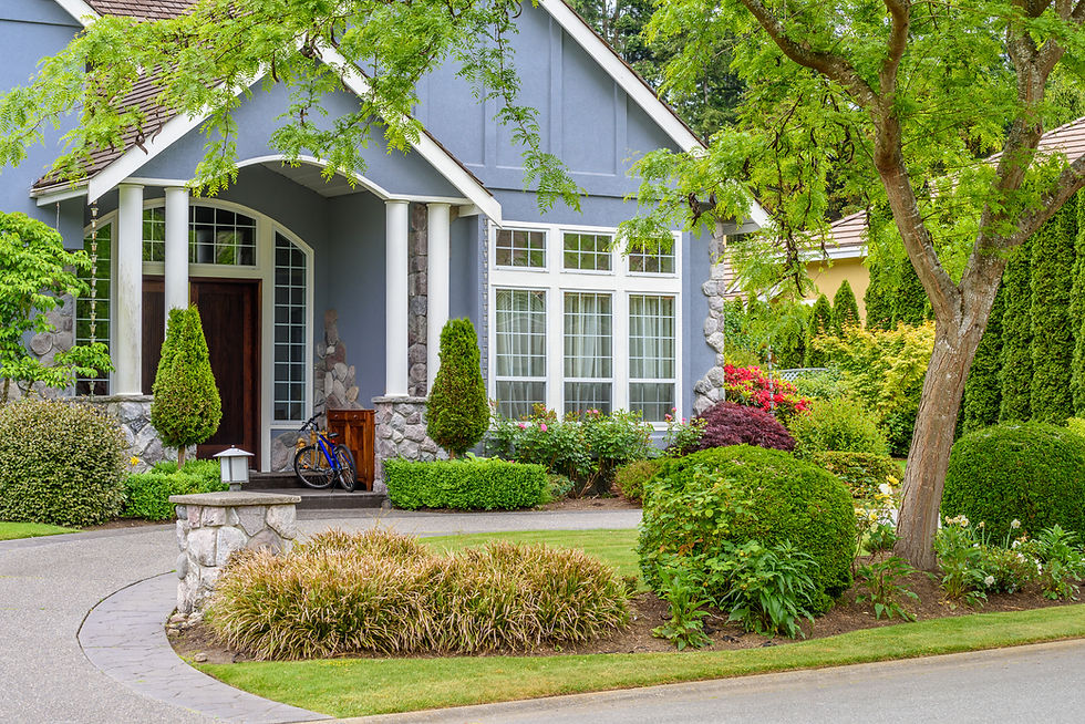 blue house with nice front garden