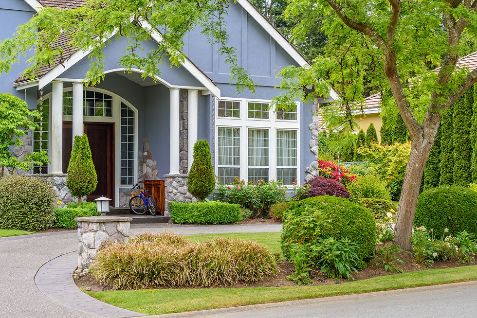blue house with nice landscaping in front