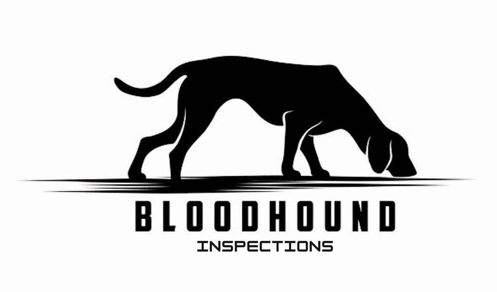 Bloodhound Inspections