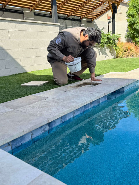 Edgar inspecting pool