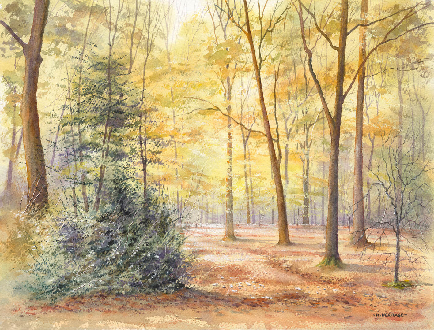 Autumn in the woods