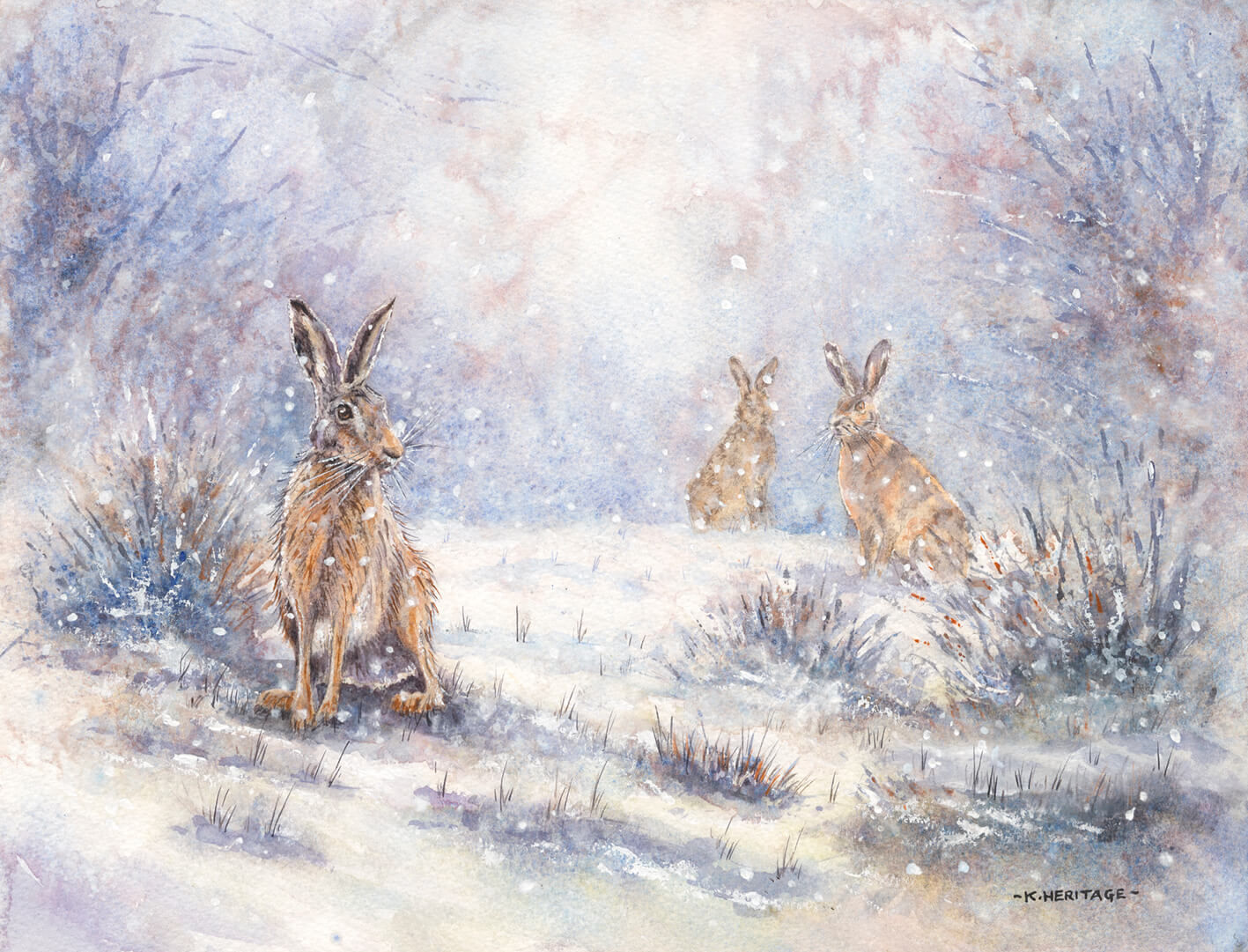 Winter Hares