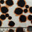 Thumbnail: Coffee Dots: Cotton Jersey