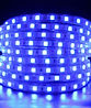 led Rope Picture.jpg