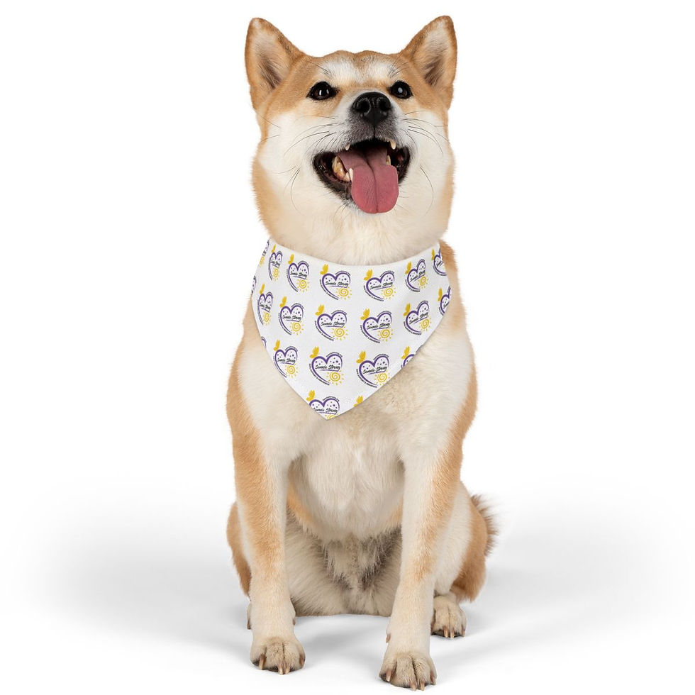 Thumbnail: Pet Bandana Collar
