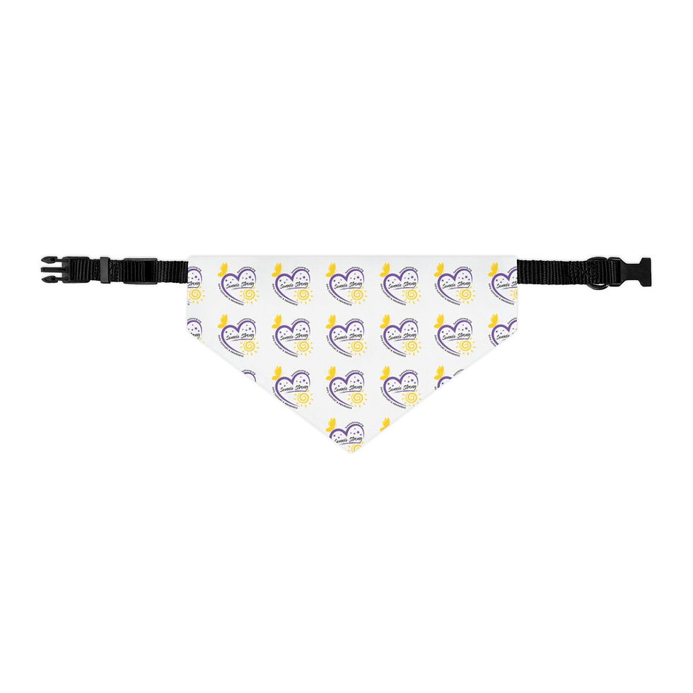 Thumbnail: Pet Bandana Collar