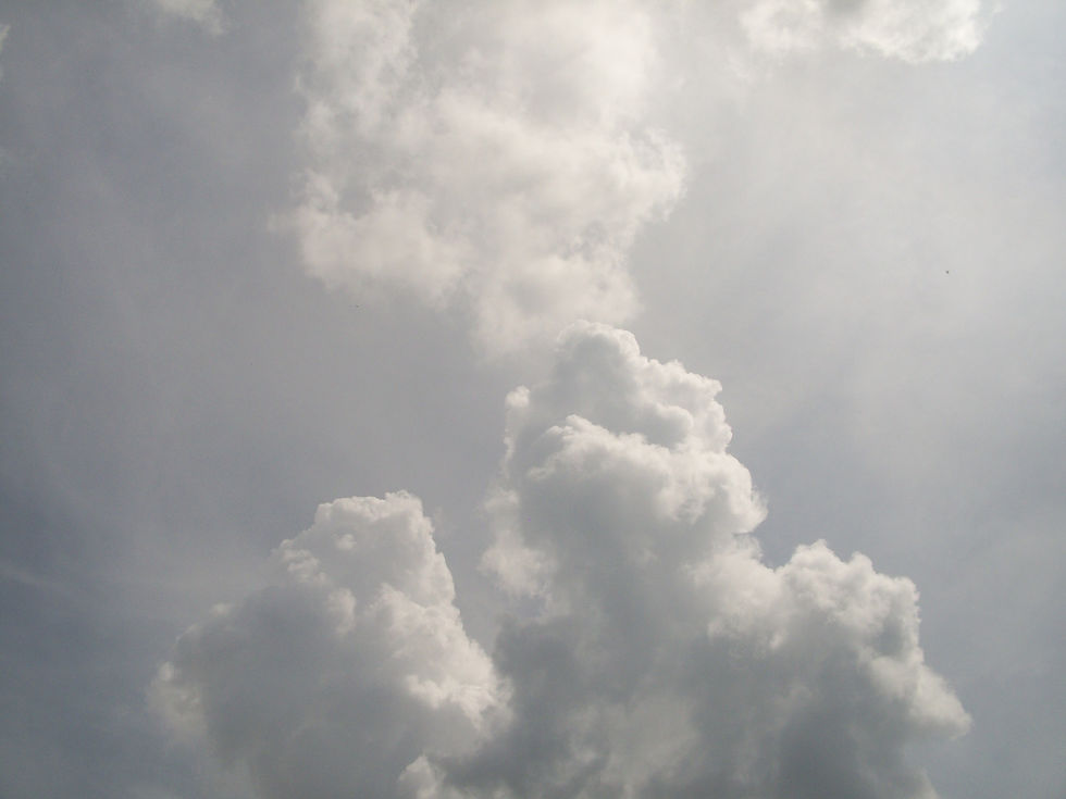 CloudDragon_edited.jpg