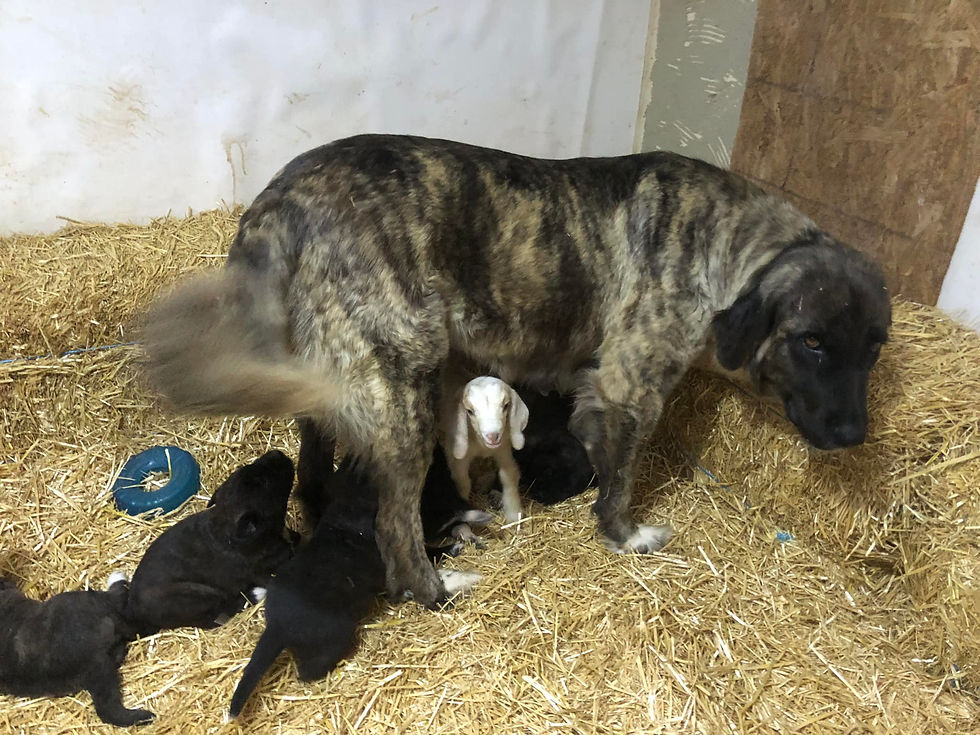 473106063_1055587199703296_1297420579671739590_n