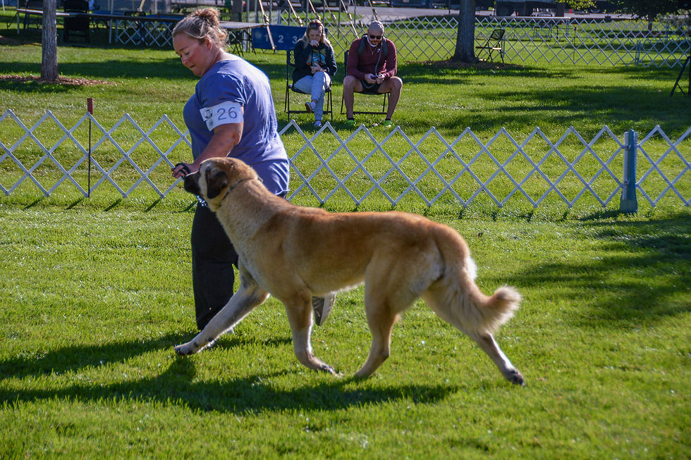 ASDCA Specialty 9.9.23-10