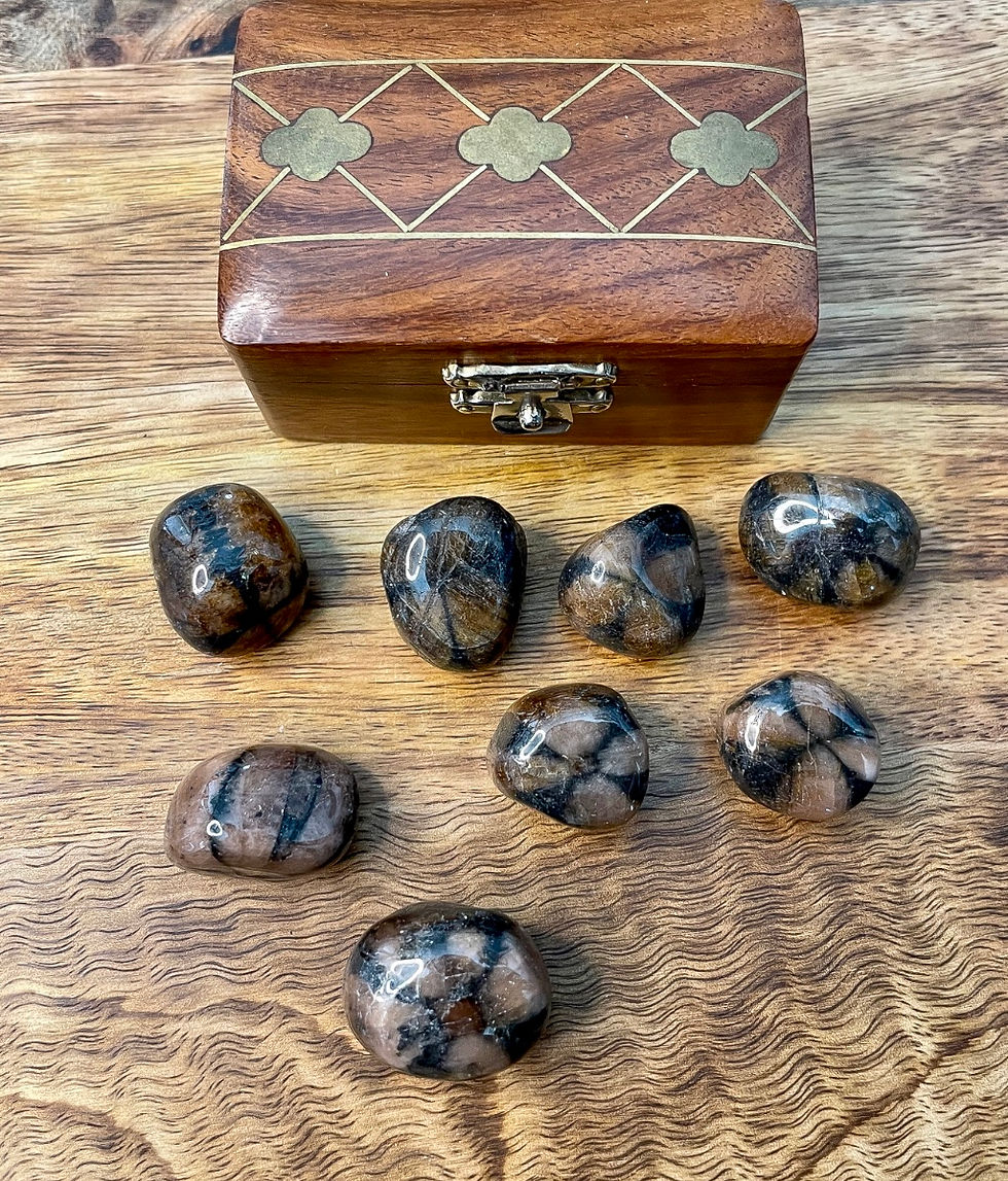 Miniature : CHIASTOLITE