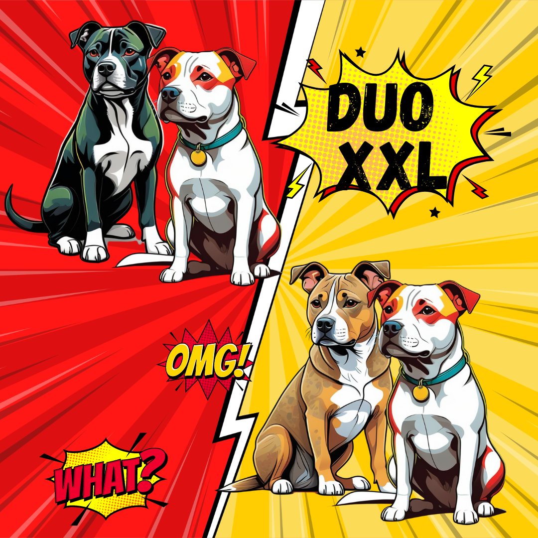DUO ANIMAL COMICS - XXL