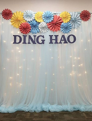 _Birthday_Blue Tulle Backdrop.jpg