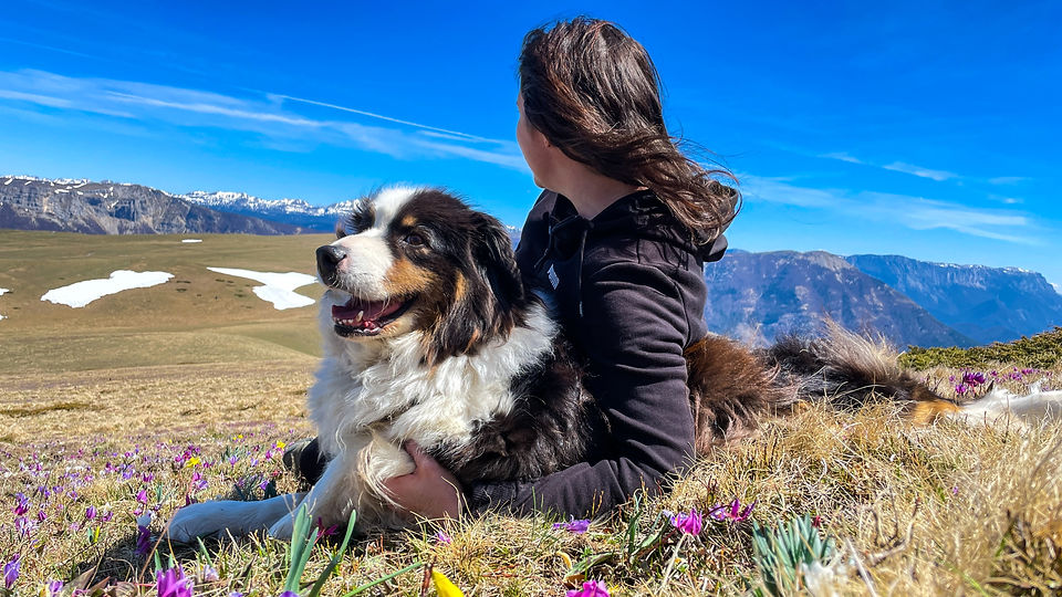 complicité et détente d'un chien et son humain couché en train d'admirer le paysage en montagne