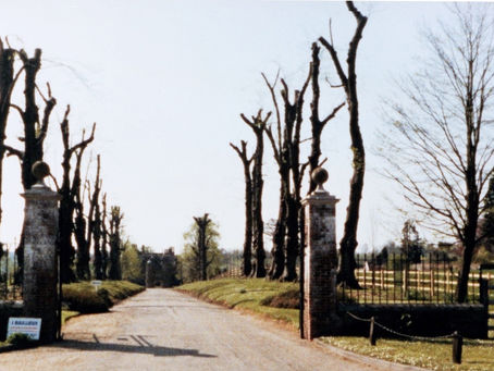 1987: The Great Storm