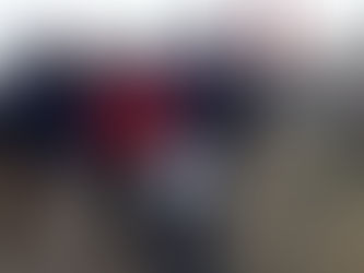 Retour en images sur le wk: commémoration de l'Armistice à Indre et opération de terrain à Couëron