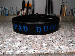 Dog Collar 2B