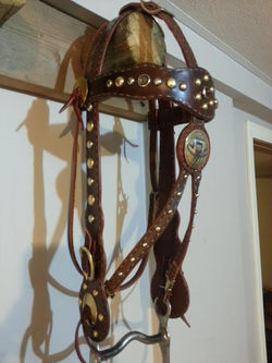 Bridle RBH0001 I.jpg